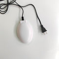 Poultry Thermostatic Bird Bath Heater Water Heater Deicer