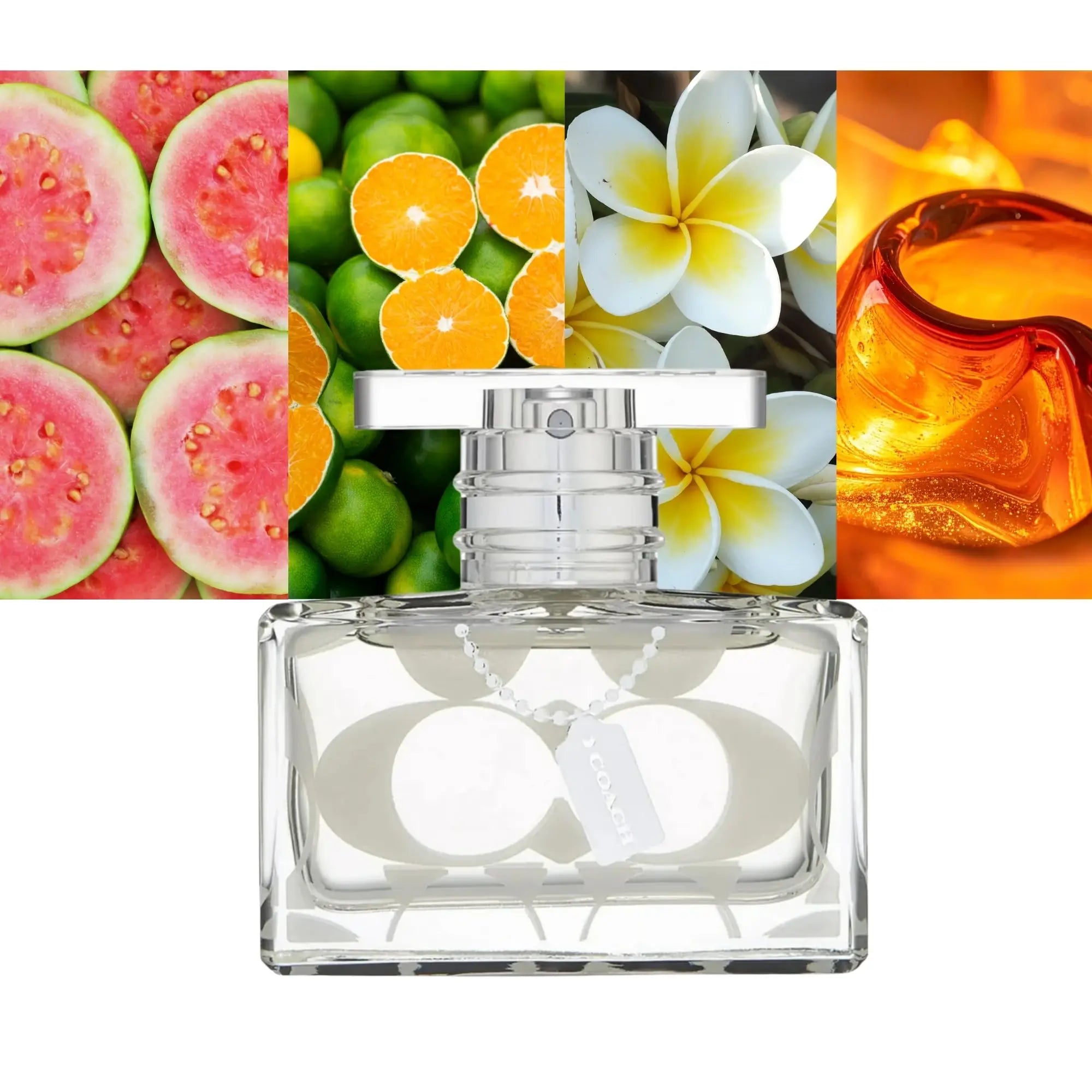 Coach Signature By Coach 3.3 oz W EDP Spray