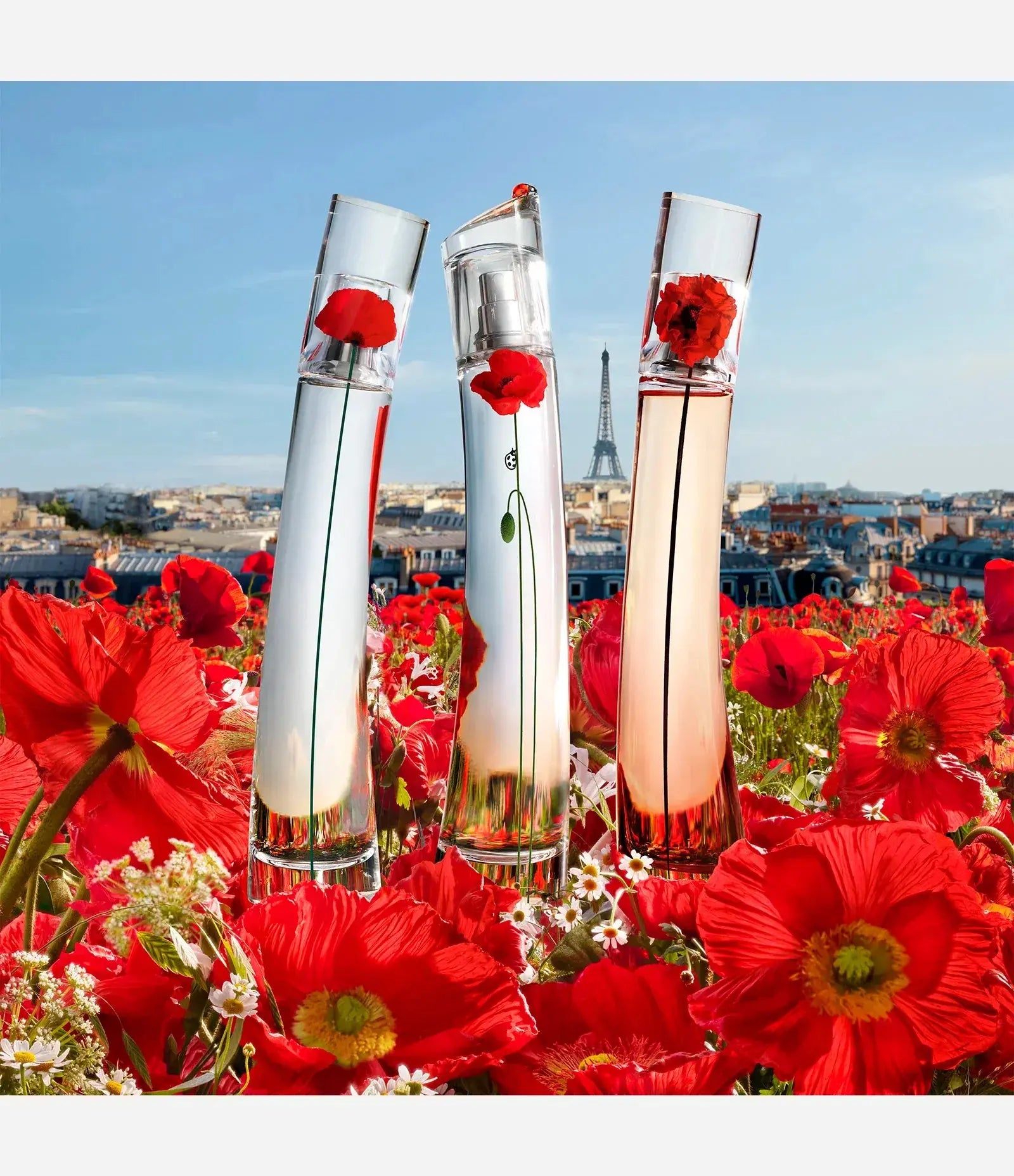 Flower By Kenzo For Women 3Pcs Set EDP Spray
