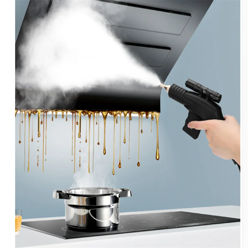 220V 110V 3000W High Pressure Steam Cleaner Machine Pumping Sterilization Disinfector Steam Generator Washer Household Cleaner