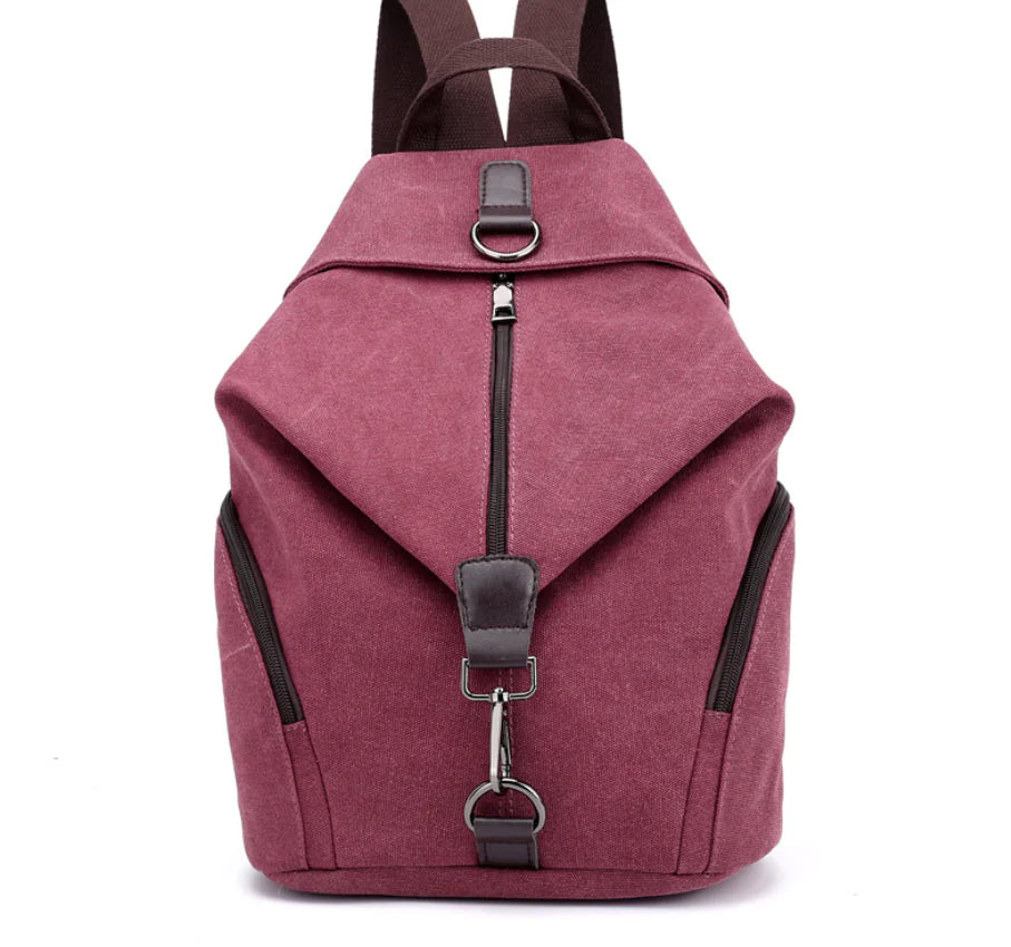 College Style Canvas Backpack and Tote Bag