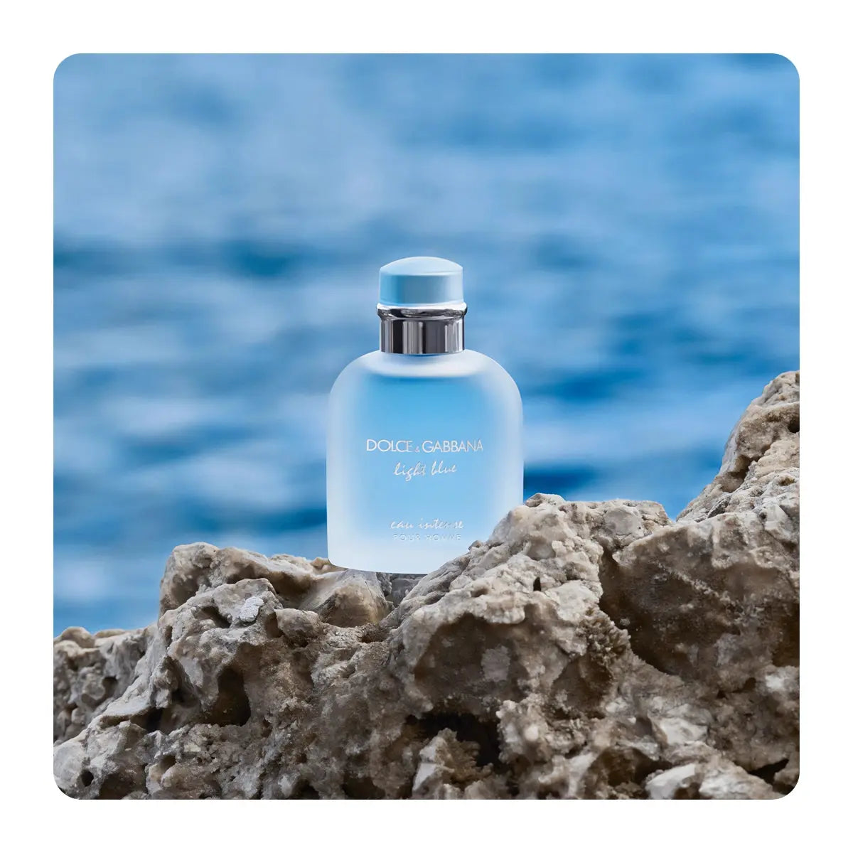 Light Blue Eau Intense By Dolce & Gabbana For Men 3.3 oz EDP Spray