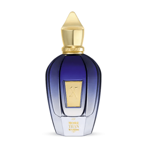 More Than Words By Xerjoff Unisex 3.4 oz EDP Spray