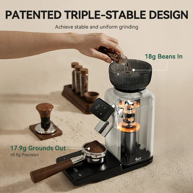 Petrus Coffee Grinder With 40 Precise Settings Conical Burr Grinder For Espresso/Drip/Pour Over/Cold Brew/French Press PE3788