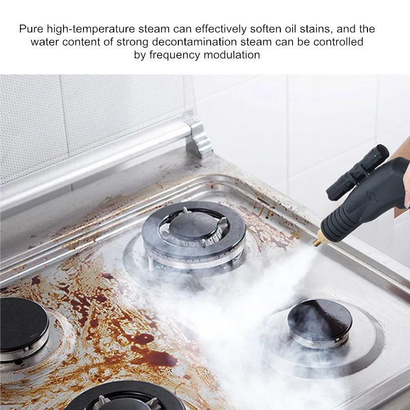 220V 110V 3000W High Pressure Steam Cleaner Machine Pumping Sterilization Disinfector Steam Generator Washer Household Cleaner