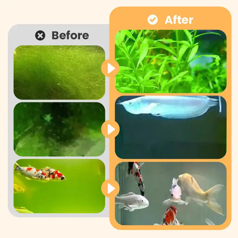 Algae & Moss Remover For Fish Tank 200ml Aquarium Fish Tank Cleaning Agent Safe Water Purification Aquatic Cleaning Tools