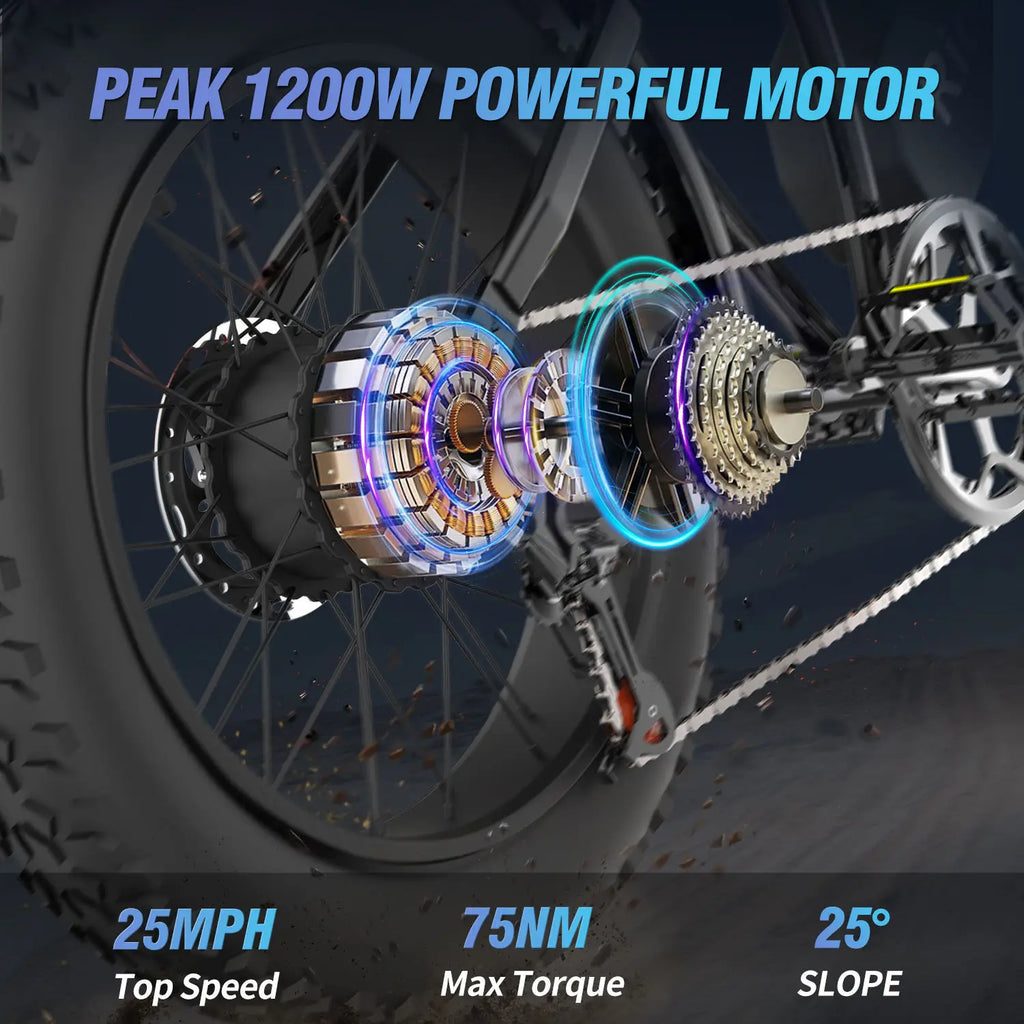 Ridstar Q20 Lite Electric Bike for Adult 1200W 48V 15Ah 20*4 Inch Fat Tire E bike Mechanical Disc Brakes Electric Bicycle MTB