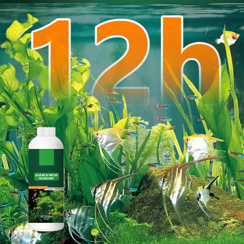 Algae & Moss Remover For Fish Tank 200ml Aquarium Fish Tank Cleaning Agent Safe Water Purification Aquatic Cleaning Tools