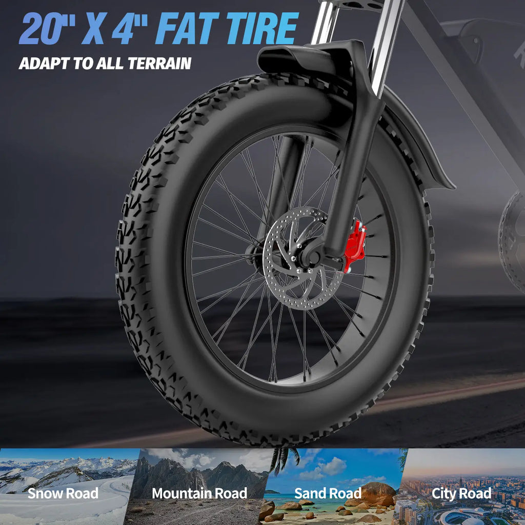 Ridstar Q20 Lite Electric Bike for Adult 1200W 48V 15Ah 20*4 Inch Fat Tire E bike Mechanical Disc Brakes Electric Bicycle MTB