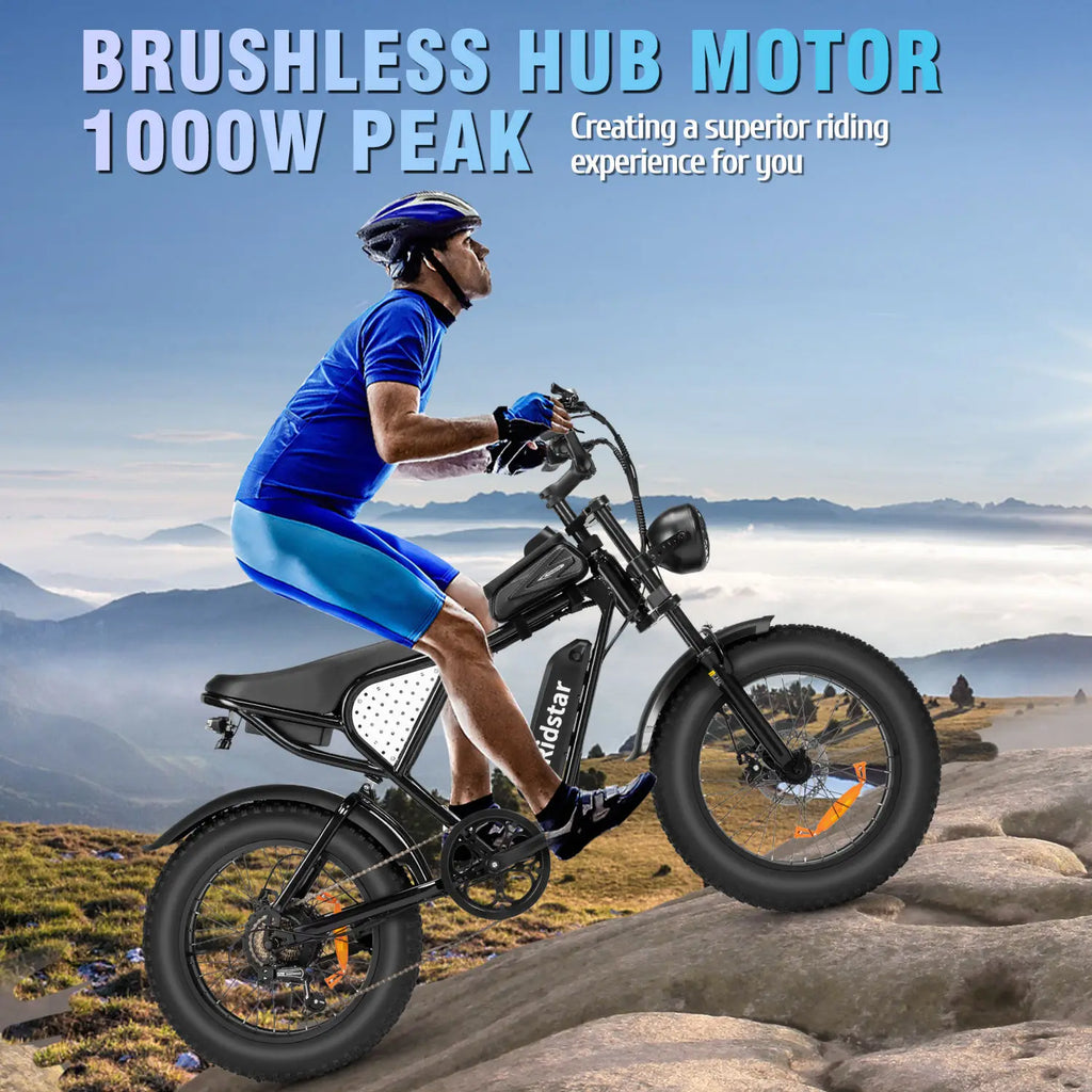 Ridstar Q20 Lite Electric Bike for Adult 1200W 48V 15Ah 20*4 Inch Fat Tire E bike Mechanical Disc Brakes Electric Bicycle MTB