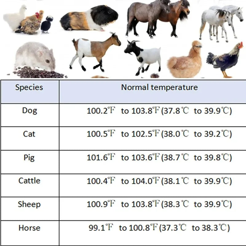 FREEPOWER Thermometer for Medical Purposes Reusable with Flexible Tip for Poultry Houses Clinic Diagnosis for Pet Use