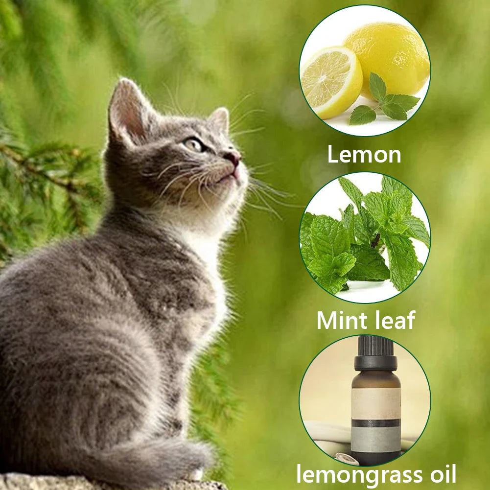 12Pcs Cat Deterrent Natural Peppermint Oil Cat & Dog Nature Repellent To Keep Feral Cats Stray Dogs Out of Yard