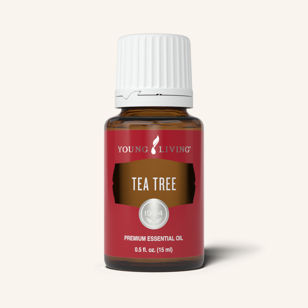 Young Living Tea Tree Essential Oil — 15ml | Pure & Powerful