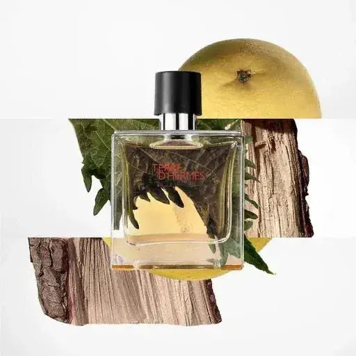 Terre D'Hermes By Hermes For Men 3.3oz EDT Spray