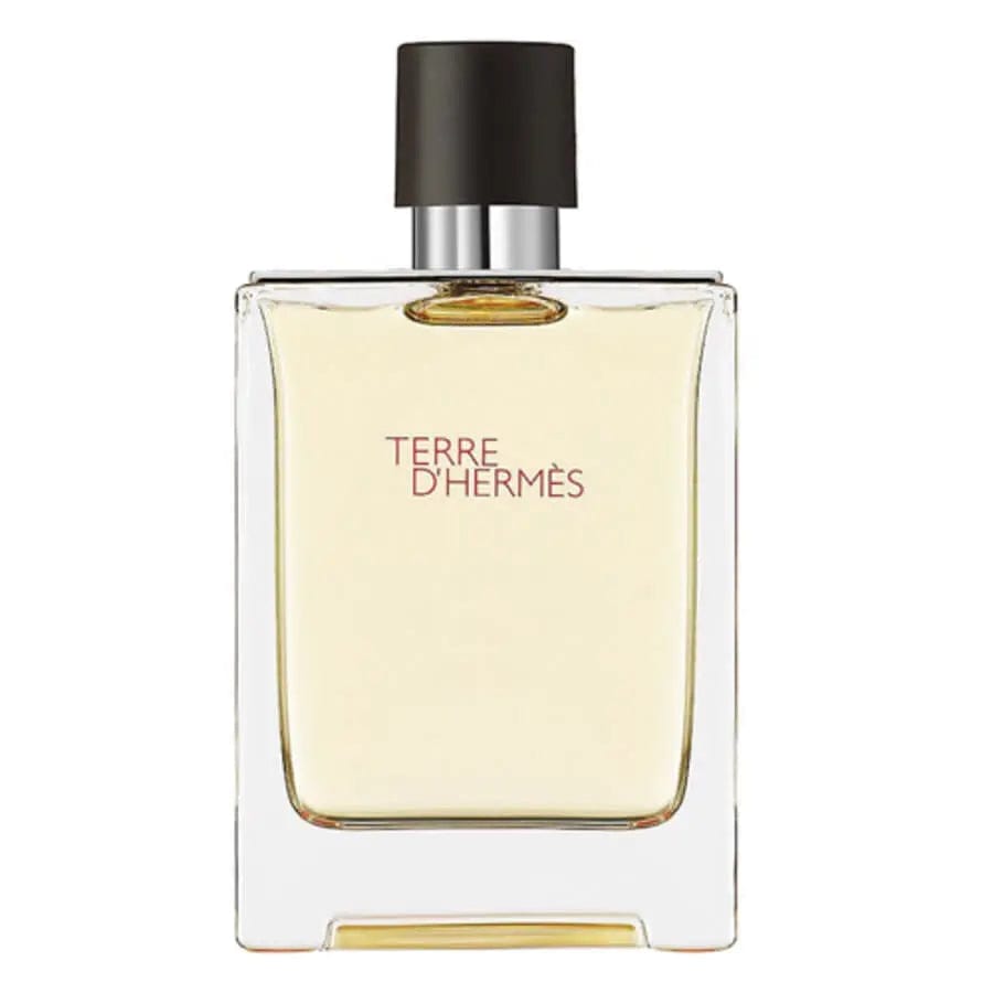 Terre Dhermes Eau Intense Vetiver By Hermes For Men  3.3 oz EDP Spray