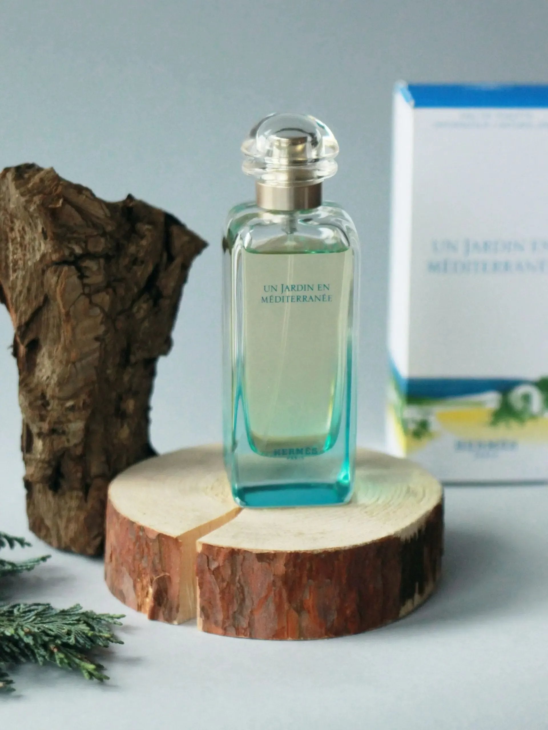 Un Jardin En Mediterranee By Hermes For Women 3.3 oz EDT Spray