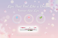 Give your lips the ultimate care of aloe jojoba and three types of wax Forever Aloe Lips® is designed to soothe and smooth dry chapped lips while conditioning and protecting to ensure your lips look and feel Forever kissable