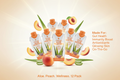 Forever™ Aloe Peaches Minis | Peach Aloe Vera Gel Drink — 12 Pack