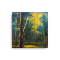 Serene Green Forest