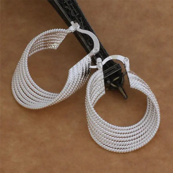 925 Silver Fashionable Multi-String Earrings