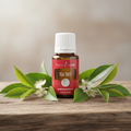 Young Living Tea Tree Essential Oil — 15ml | Pure & Powerful