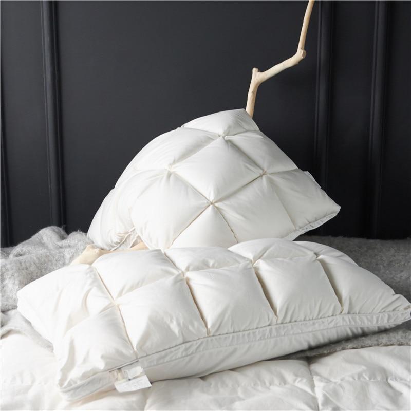 Giancarlo Goose Down Filling Pillows Set of 2
