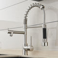 Neil Pull-Down Springs Sprout Kitchen Sink Faucet