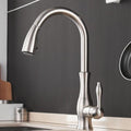 Max Swivel Spout Pull-Down Single-Hole Kitchen Sink Faucet