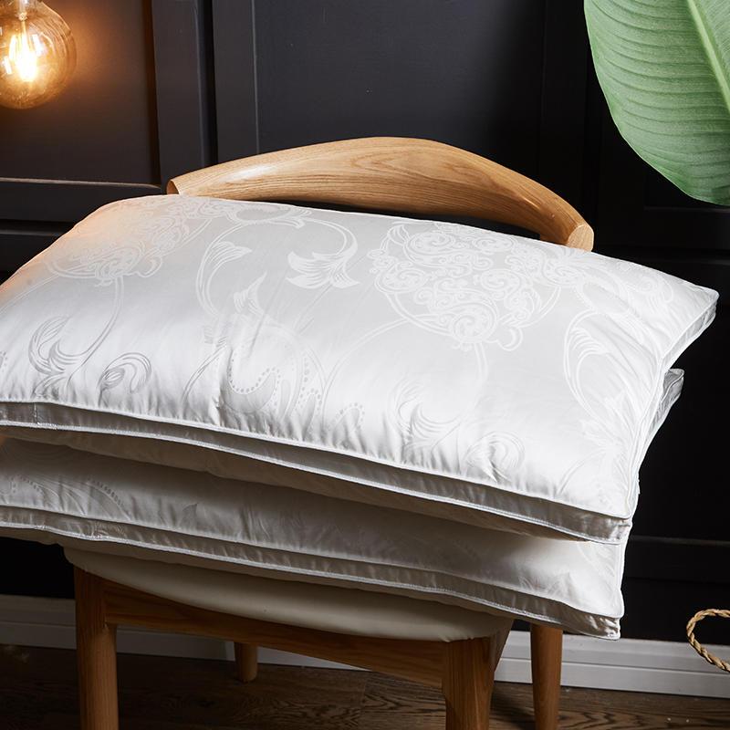Vincenzo Pillows Set of 2 Goose Down